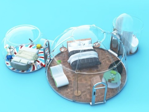 glassdome-533521m-1-1-H